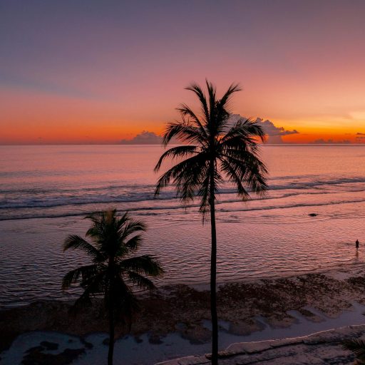 Tropical sunset Tropical beach sunset with palm trees over the ocean – Radiant Vacations with Rossella travel experiences